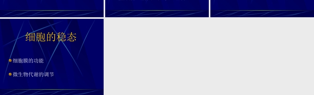 生物稳态xgmpc.ppt