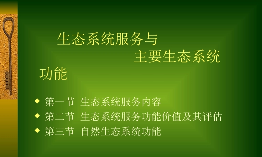 生态系统服务与主要生态系统功能pd3ru.ppt