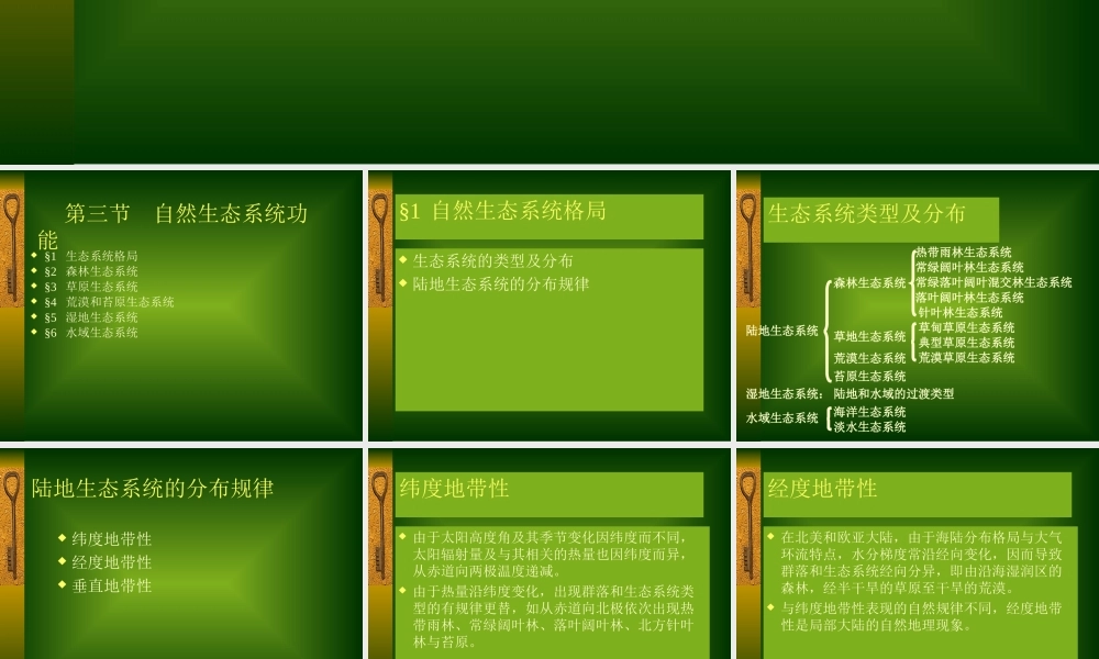 生态系统服务与主要生态系统功能pd3ru.ppt