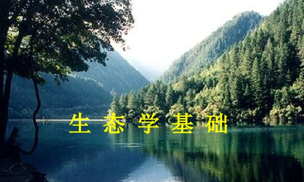 生态学基础3xrel.ppt