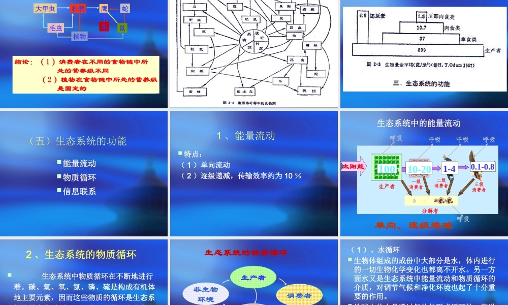 生态学基础3xrel.ppt