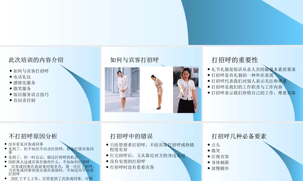 商务服务培训PPT模板rhilk.ppt