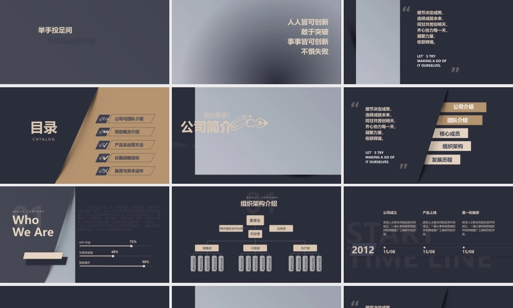 商业策划(87).pptx