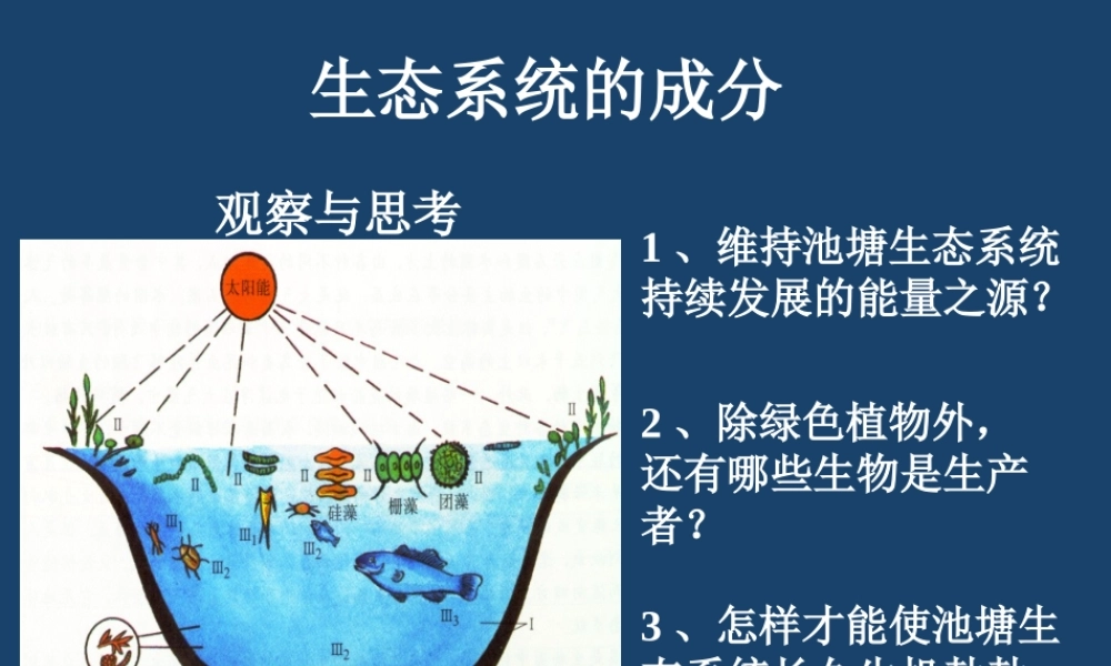 生态系统的成分k0g80.ppt