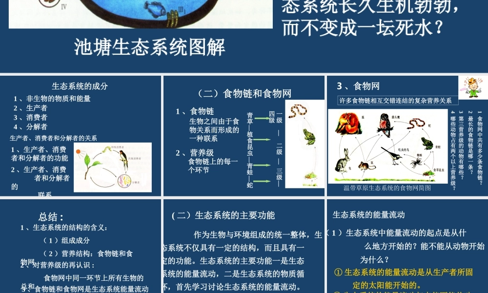 生态系统的成分k0g80.ppt
