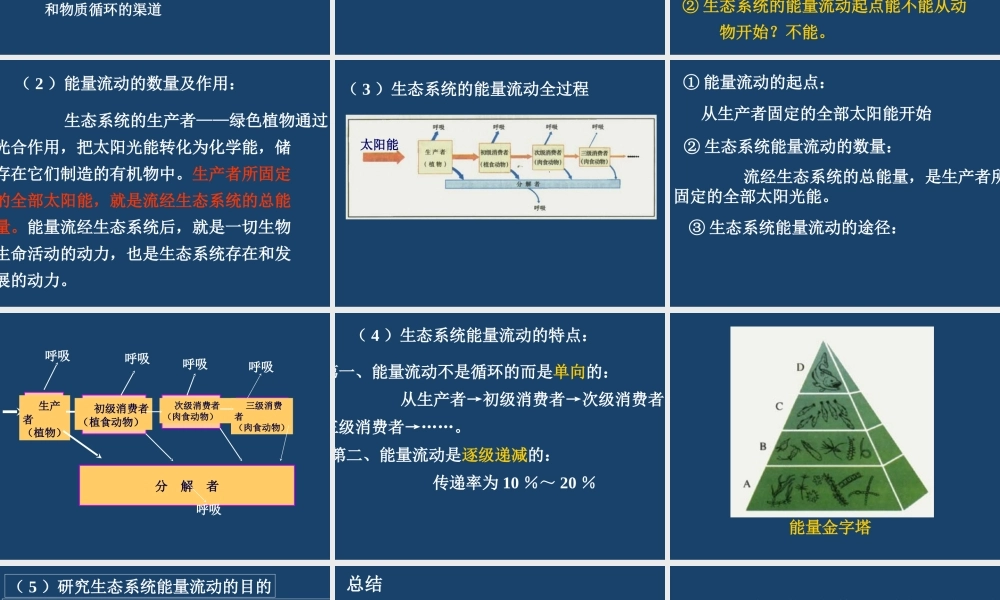 生态系统的成分k0g80.ppt