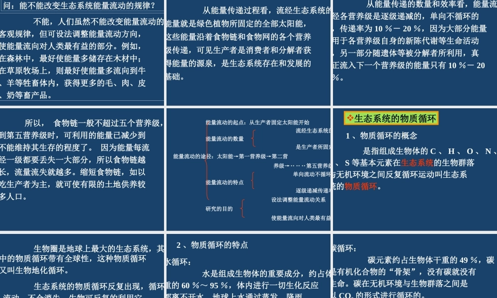 生态系统的成分k0g80.ppt