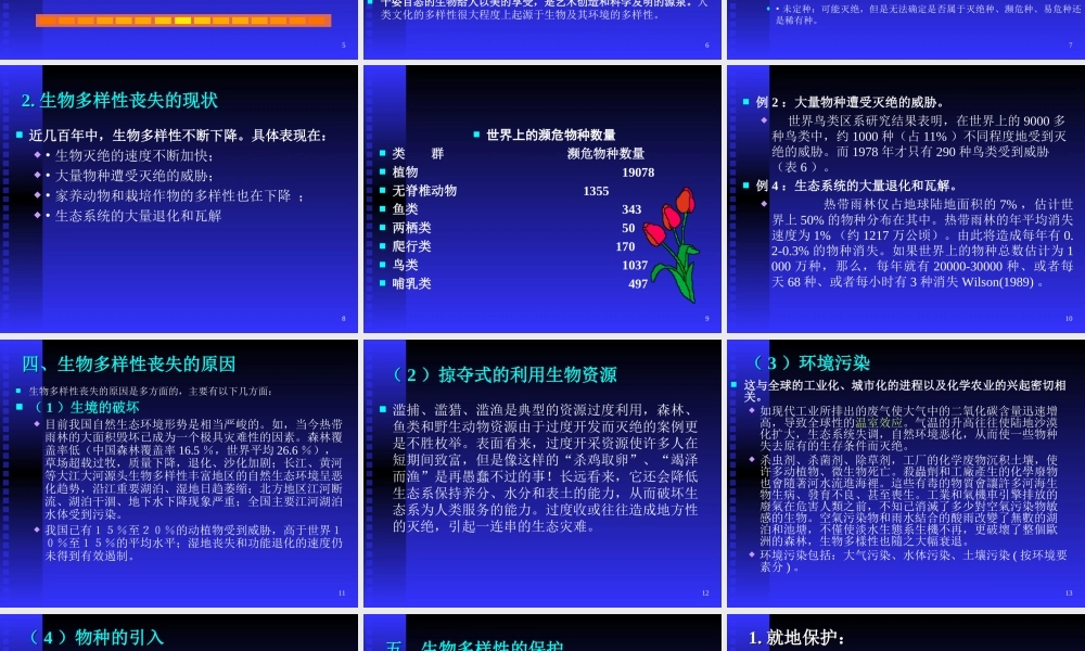 生物多样性保护afxka.ppt