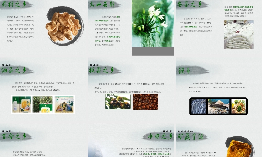 水墨画PPT模板dl99v.ppt