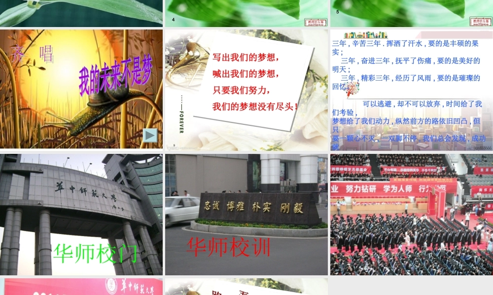 我与梦想有个约会exkwk.ppt