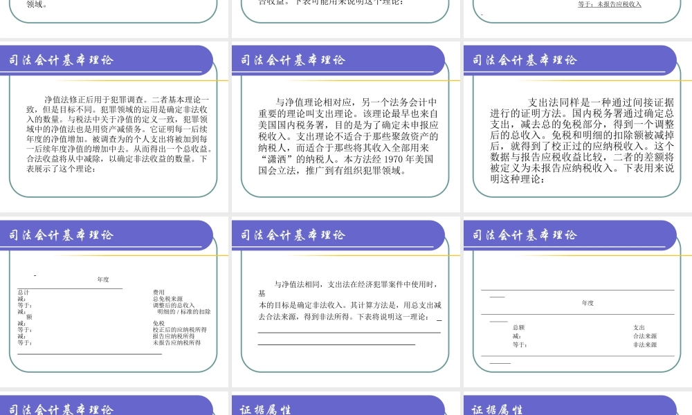 司法会计的理论与实务6ze3k.ppt