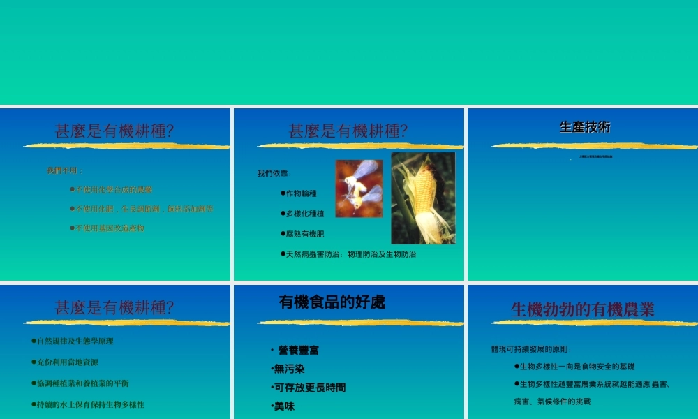 推动有机耕种x192l.ppt