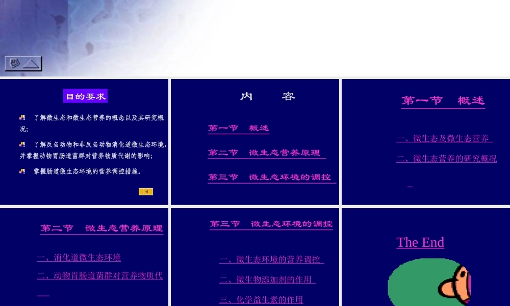 微生态营养cvty7.ppt