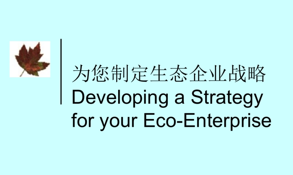 为您制定生态企业战略7epys.ppt