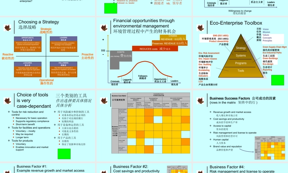 为您制定生态企业战略7epys.ppt