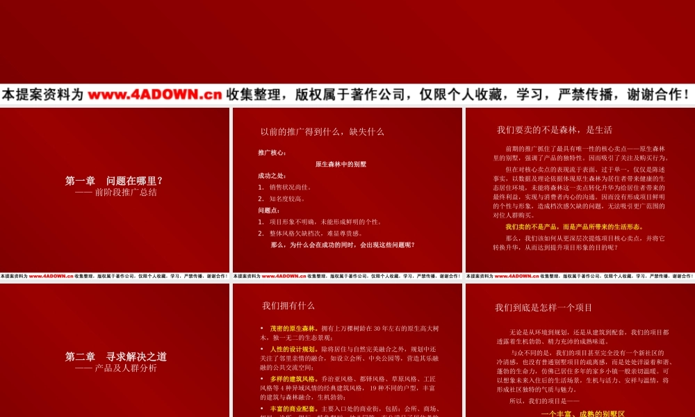 温哥华森林策划提案qidm2.ppt