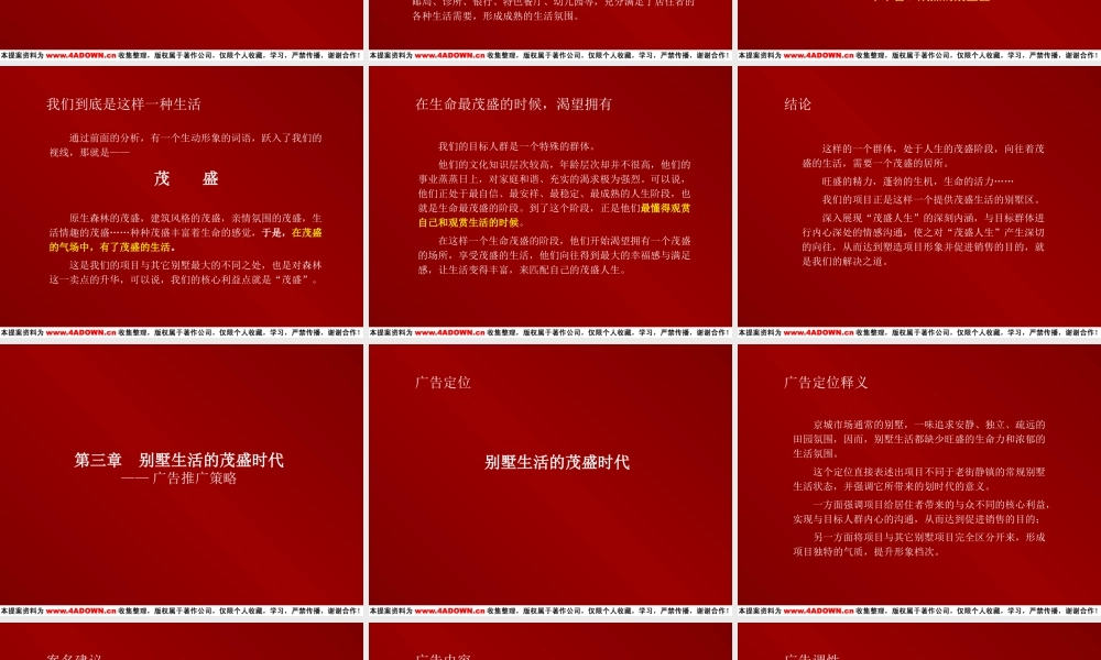 温哥华森林策划提案qidm2.ppt