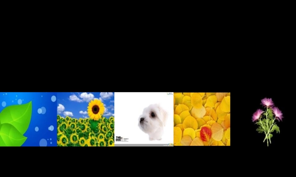 图片3d浏览样例.pptx