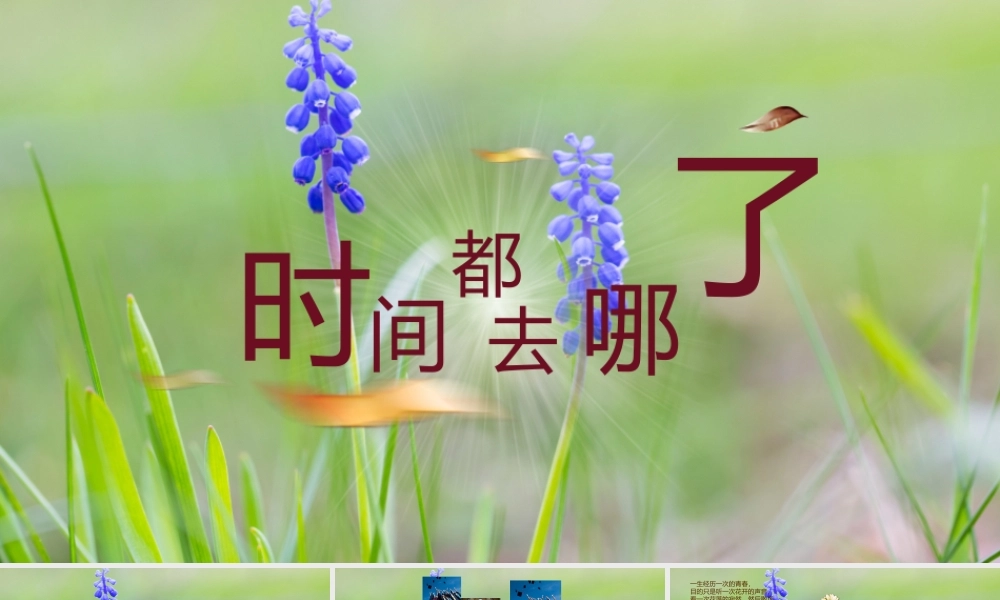 相册纪念(11).pptx