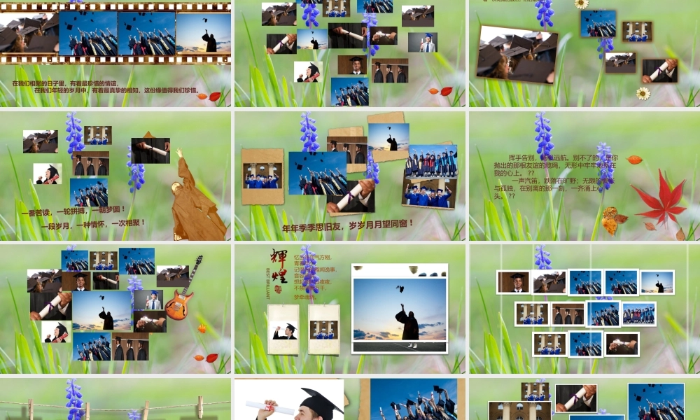 相册纪念(11).pptx