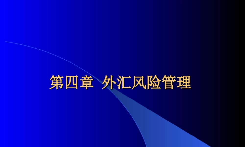 外汇之风险管理gkol5.ppt