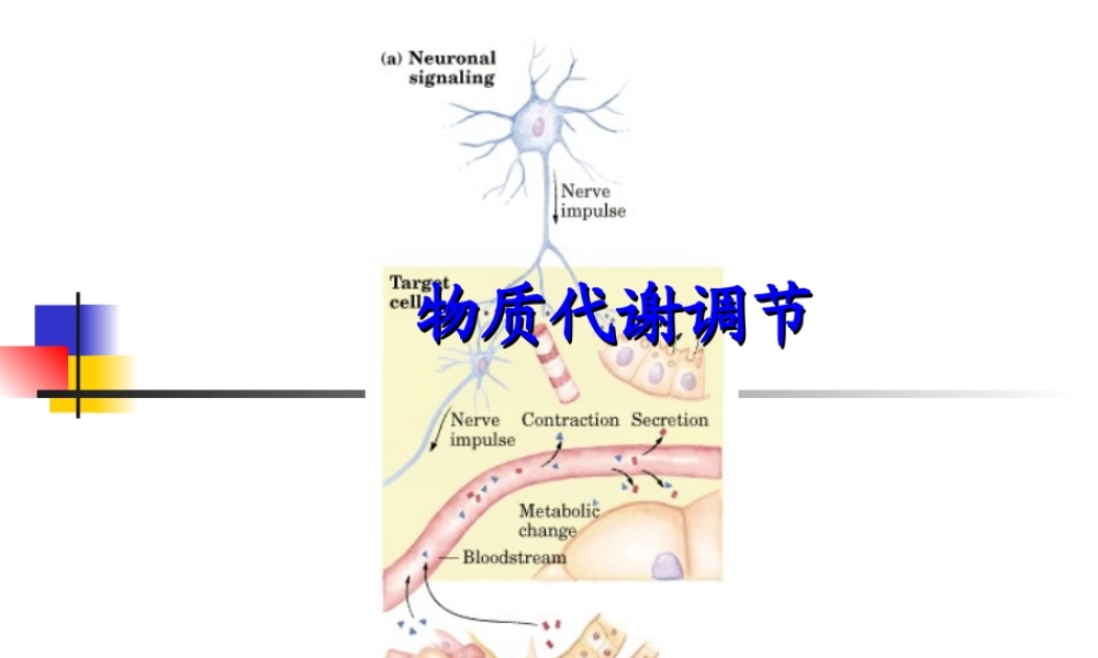 物质代谢调节8rzsd.ppt