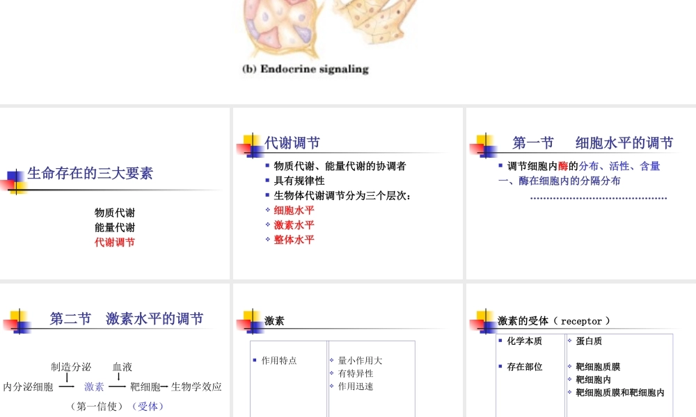 物质代谢调节8rzsd.ppt