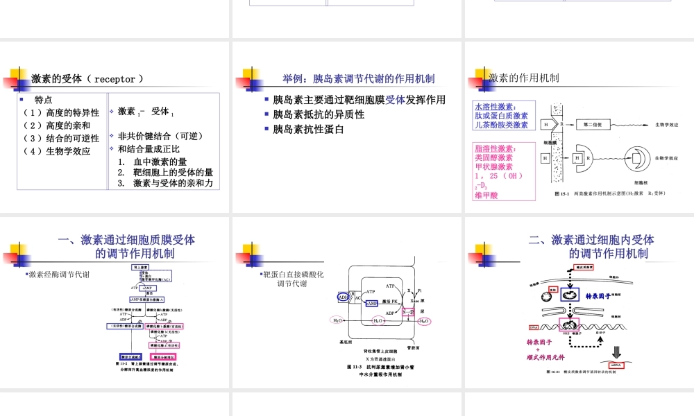 物质代谢调节8rzsd.ppt