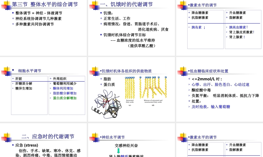 物质代谢调节8rzsd.ppt