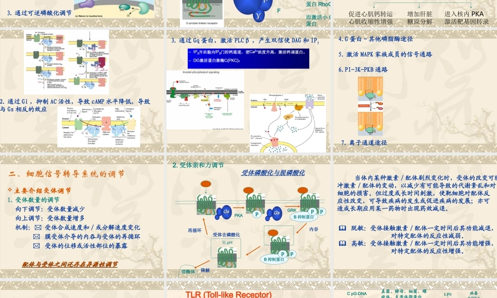 细胞信号转导异常与疾病k3p7v.ppt