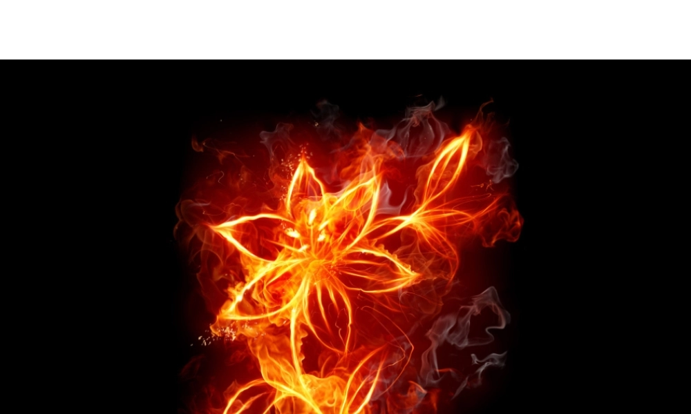 新收集的图表0c4if.ppt