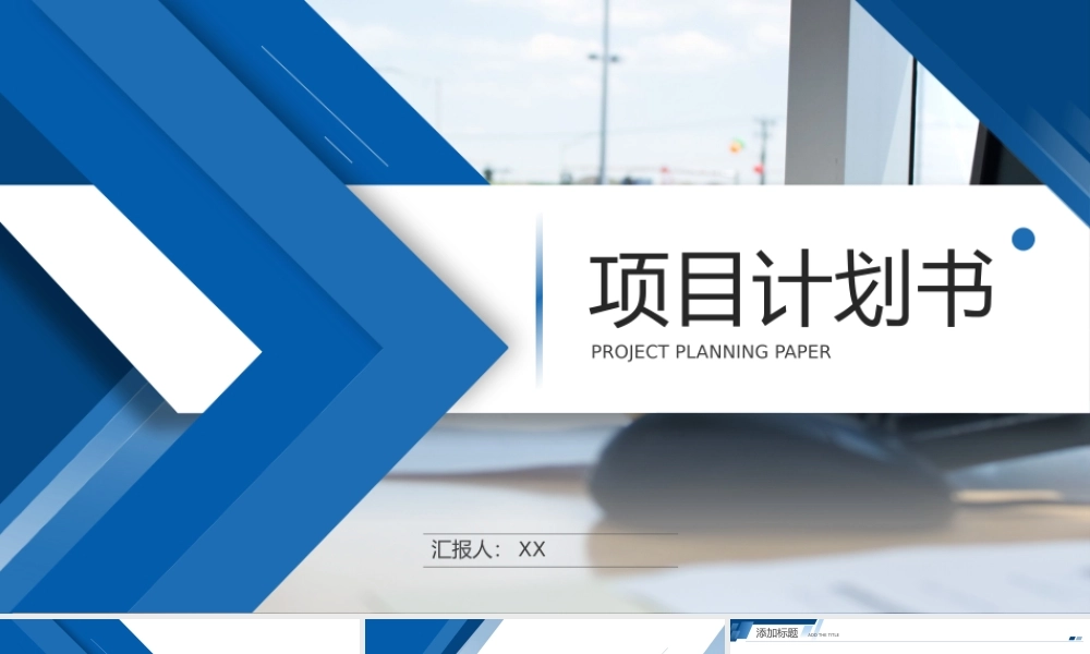 项目策划(43).pptx