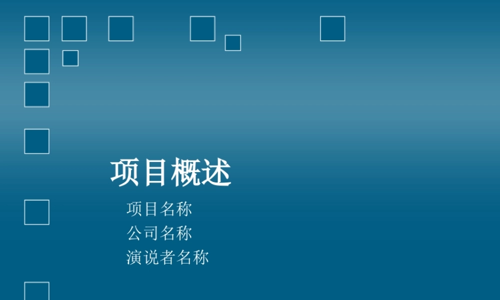 项目概述2aqvkc.ppt