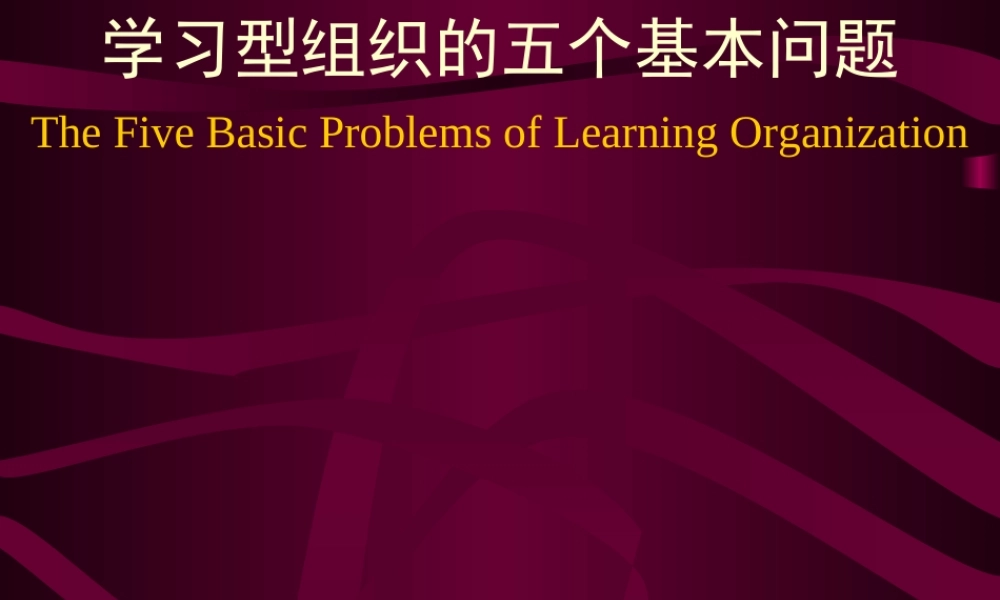 学习型组织的五个基本问题ay2ug.ppt