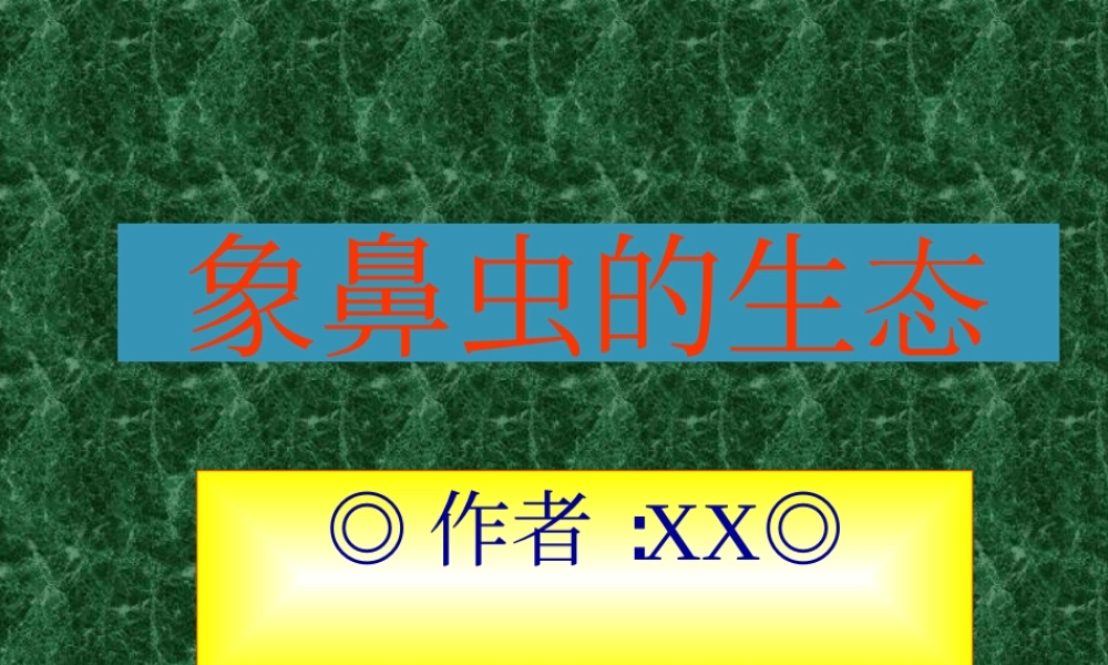 象鼻虫的生态fmqvt.ppt