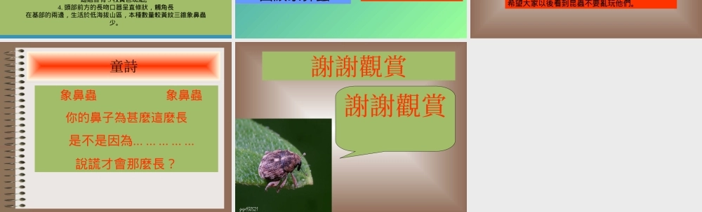 象鼻虫的生态fmqvt.ppt