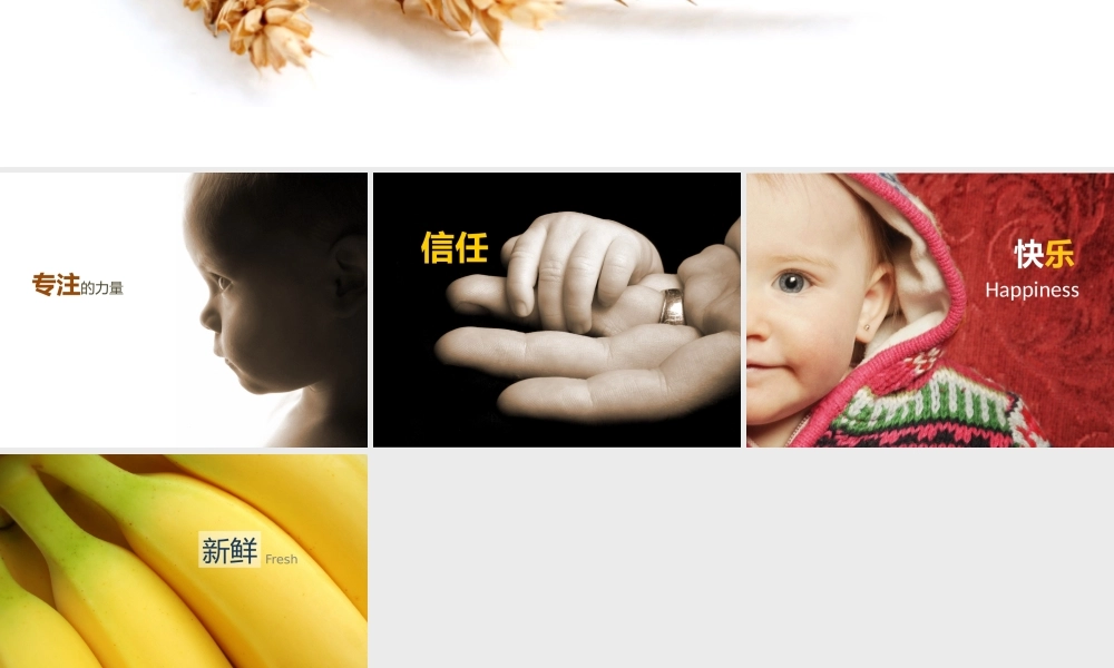 文字准确的图表.pptx