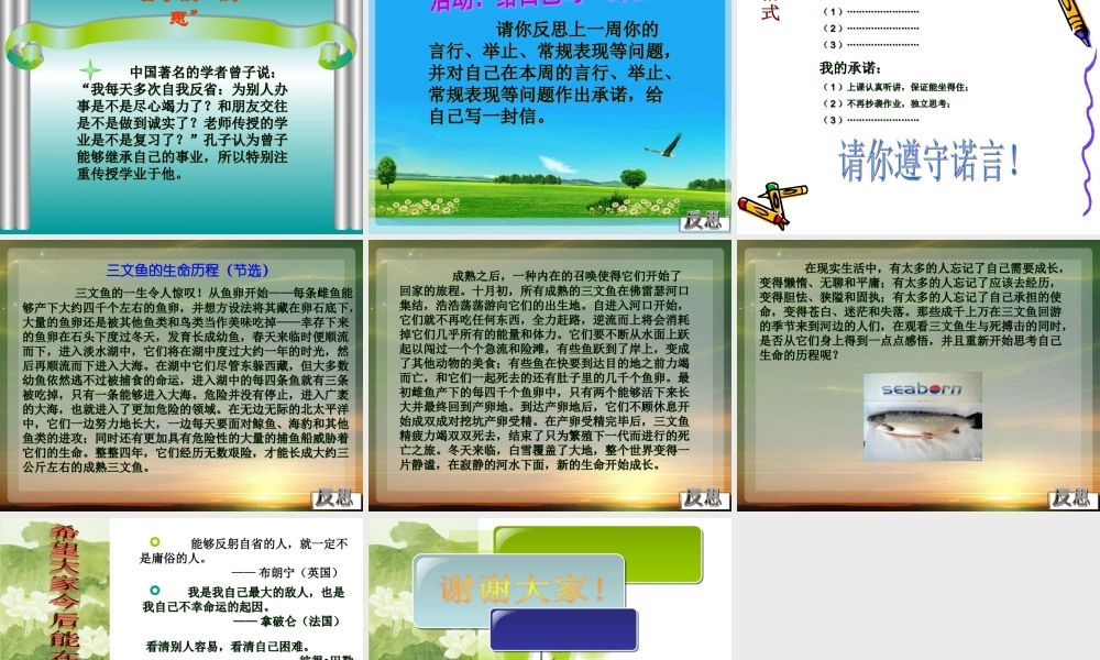 学会反思e4g3v.ppt