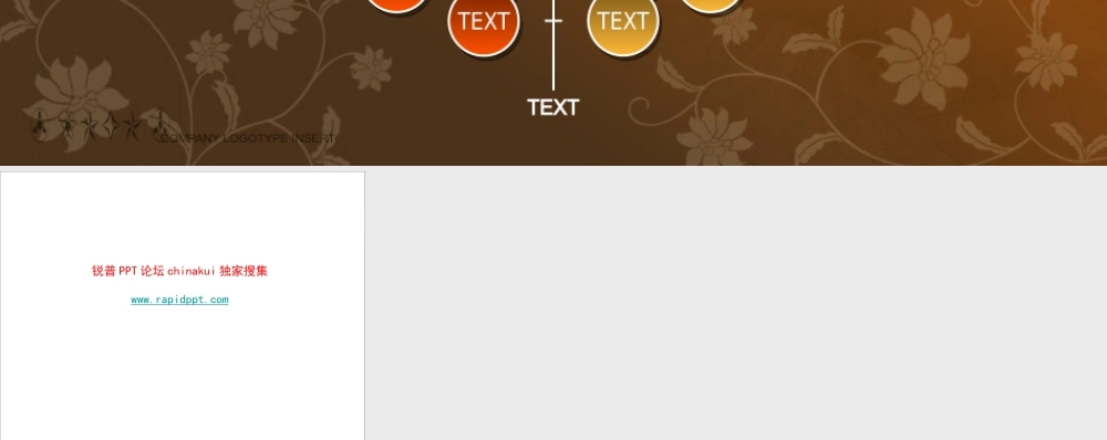 艳丽商务图表www.rapidppt.com (11).pptx