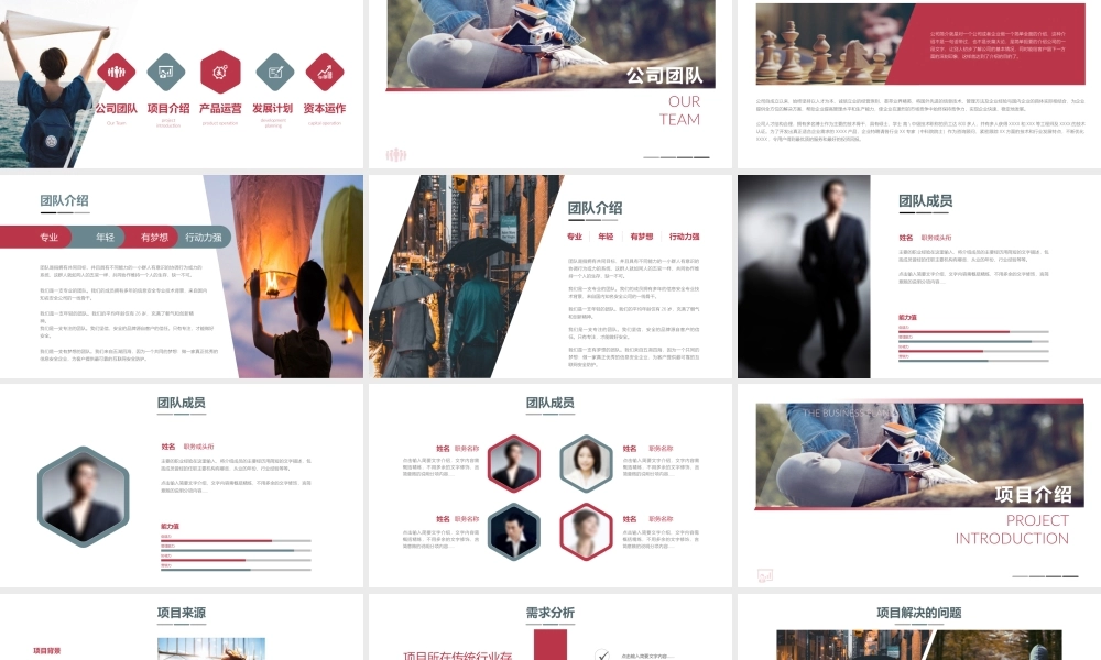 项目策划(16).pptx