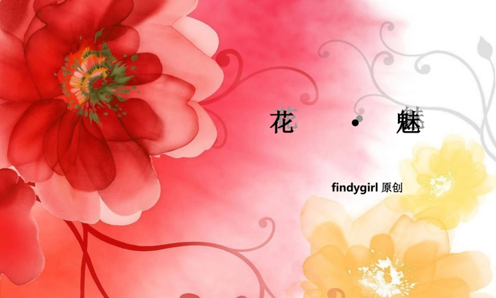 丫丫精饰 (57)tl4mk.ppt