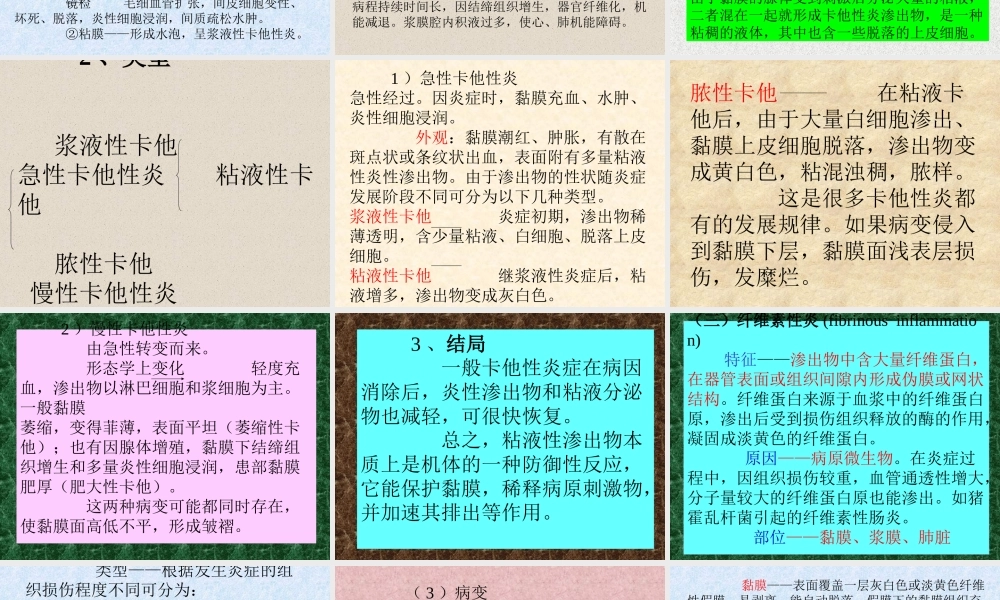 炎症的类型ddusa.ppt