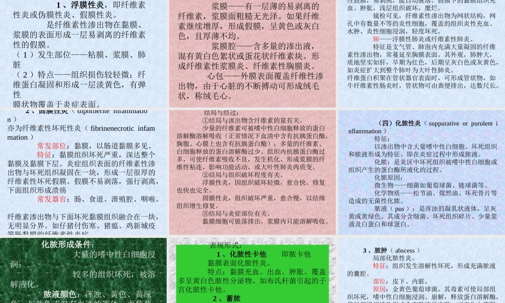 炎症的类型ddusa.ppt