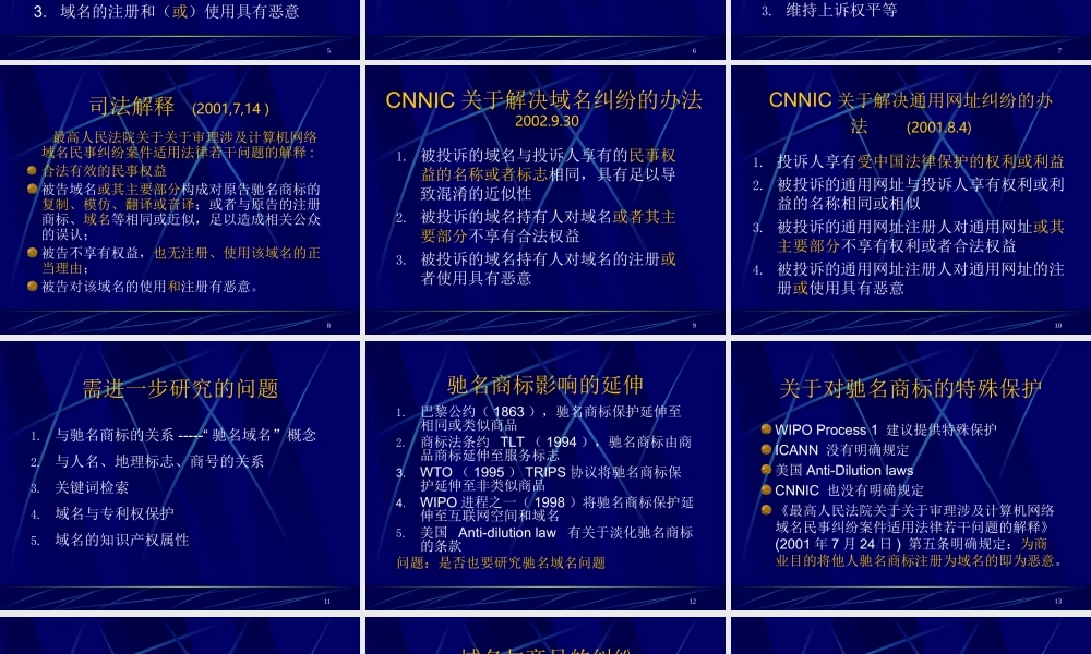 域名与知识产权保护.ppt