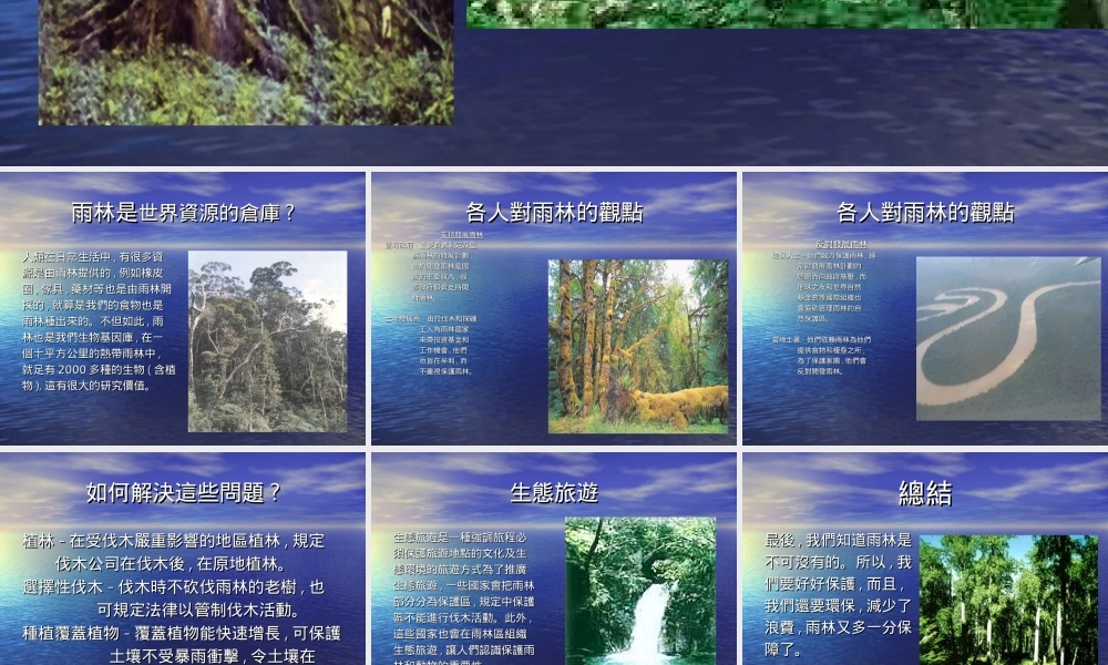 雨林利用.ppt