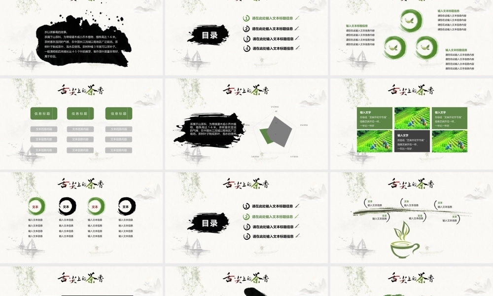 中国风 72 亮亮图文.pptx
