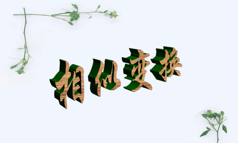 相似变换ae8v5.ppt