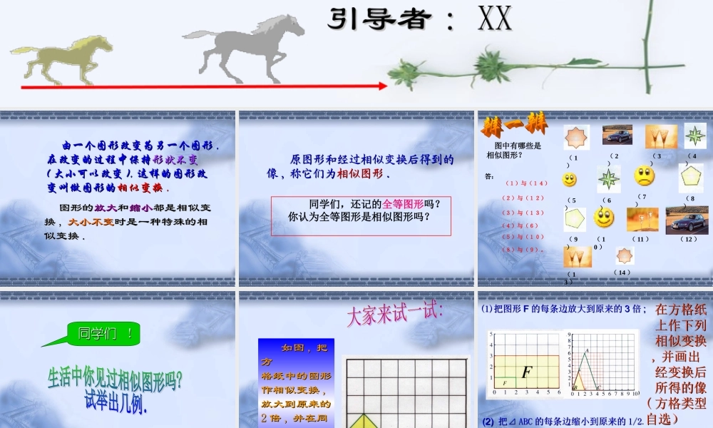 相似变换ae8v5.ppt