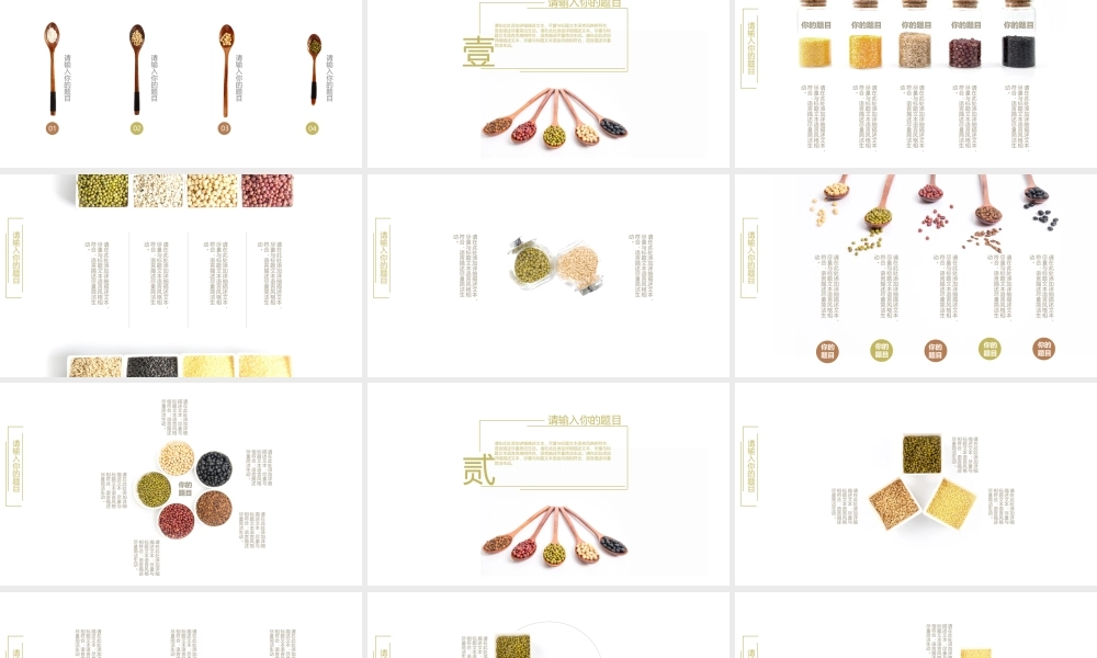 项目策划(12).pptx