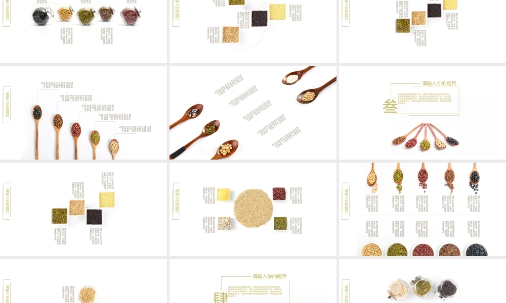 项目策划(12).pptx